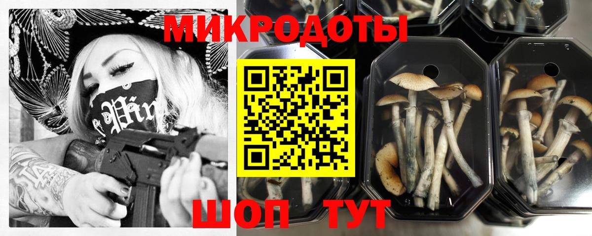 Псилоцибиновые грибы мухоморы Брянск